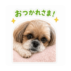 nobu&nagi_20260425080333