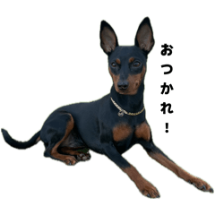 CHIKA_20260425081334