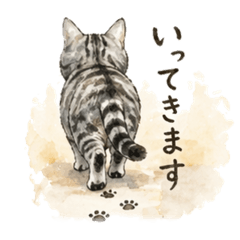 cocoa_20260425122743