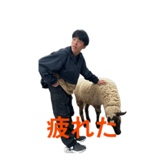 aki_nam29_20260425011115