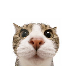 sosuke_20260425083629