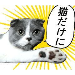 tora8rou_20260425033919