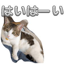 riku&joe_20260425092707