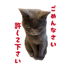 aiLOVE_20260425033726