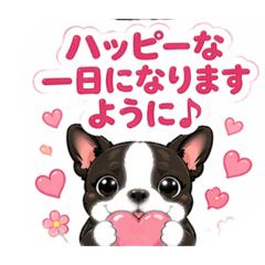 「ボストンテリア風太のゆるかわ日常④」