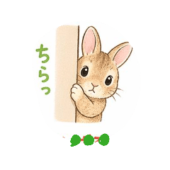 sasakihoneko_20260425070803