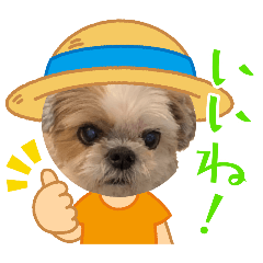 KOUMEPU_20260425101900