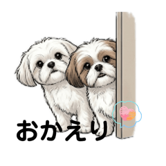 megumimi_20260425101611