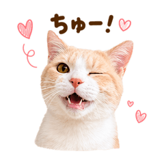 kenjonrayup_20260425102019