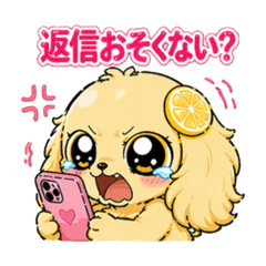 KIKKO_20260425102113