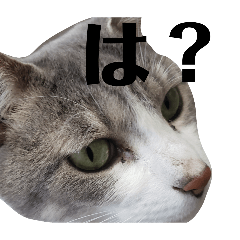 sakuramoti_20260425102553