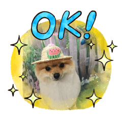 uchinotono_20260425102128