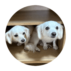 su-su_20260425101550