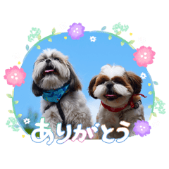 Chantry_20260425111221