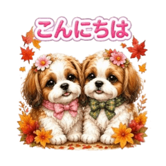 Dream Hamada_20260425112131