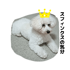 lamune_20260425085627