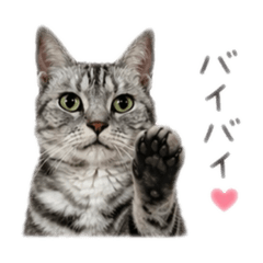 MofumofuWorks_20260425091047