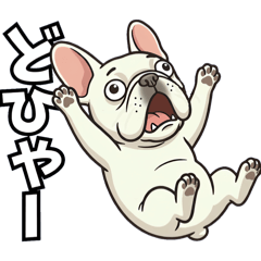 Over-the-Top Reactions French Bulldog
