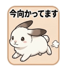 Ramen_20260425091734