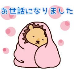 PAKAMOGOLY_20260425115905