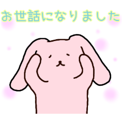 PAKAMOGOLY_20260425115640