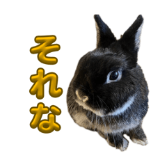 Manananananana_20260425115448