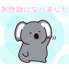 PAKAMOGOLY_20260425115407