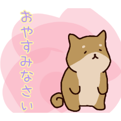 PAKAMOGOLY_20260425120233