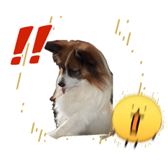 katumi_20260425120734