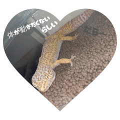 SUTEKI_20260425120946