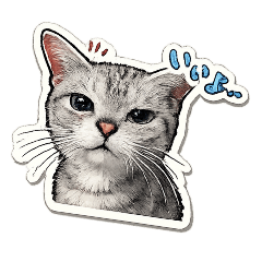 yuko._20260425120813