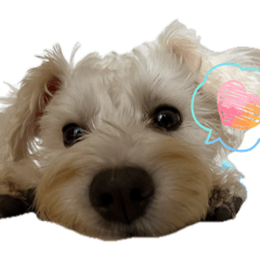 ohagi_20260425121257