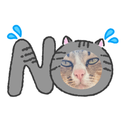 Thatchayut Boonsoon_20260424183409