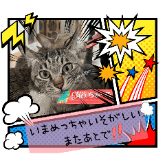 kyuri21_20260425121244