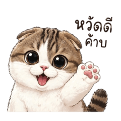 PPmayxm_20260424183844