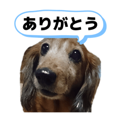 Rissan_20260425121333