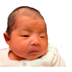 ucoco3_20260425095814