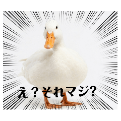 SuraisuTi-zu_20260425095615