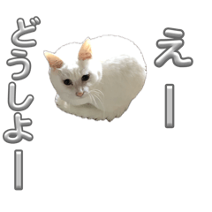 kuwamaguro_20260425100900