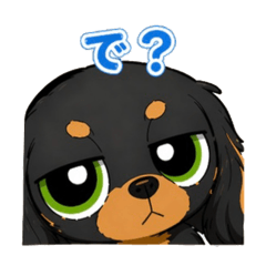 KIKKO_20260425101019