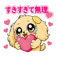 KIKKO_20260425100833