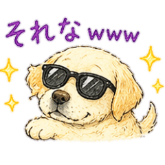 chika_20260425121611