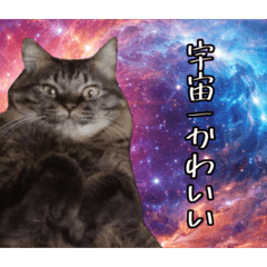 BIG NO_20260425122733