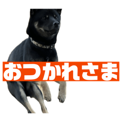 akiko_20260425123439