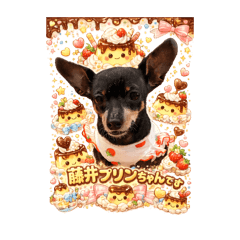 Purin_20260425122912