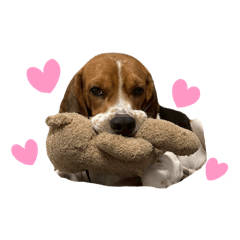 annachom_20260424200203