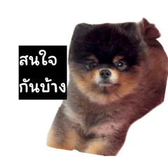 A man with 10 faces_20260424200628