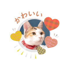 oshimeya_20260425125547