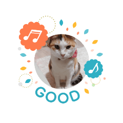 oshimeya_20260425130605