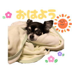 mmm..._20260425103942